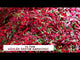 İngiliz Tuzu ( Epsom Tuzu ) 1000 Gr